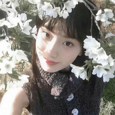 仙王的日常生活
