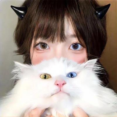 鼠胆英雄
